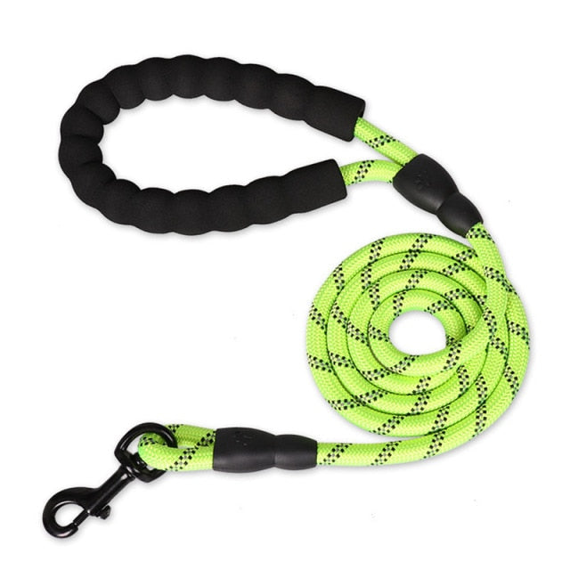 Nylon 2024 dog leash